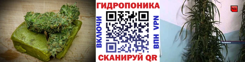 Canna-Cookies конопля  купить наркоту  мега вход  Иваново 