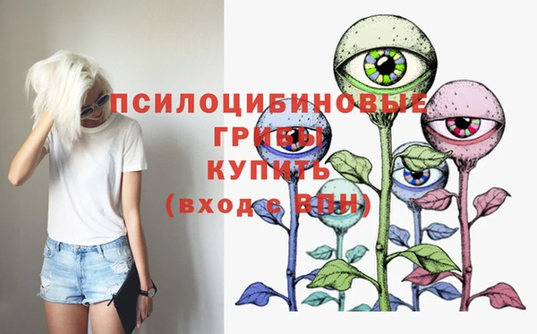 ECSTASY Вязники