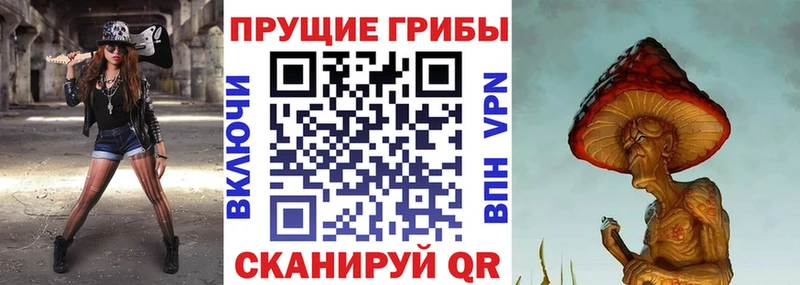 Псилоцибиновые грибы мицелий  Иваново 